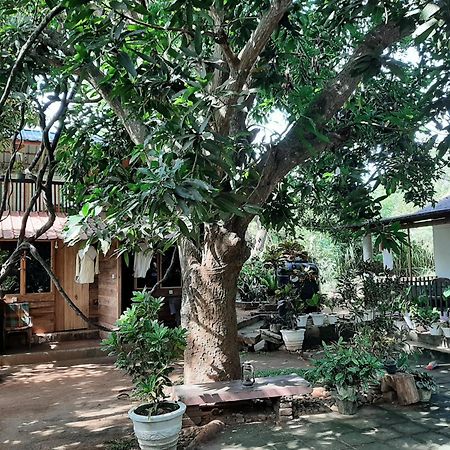 Serenity House In Dambulla Exterior foto