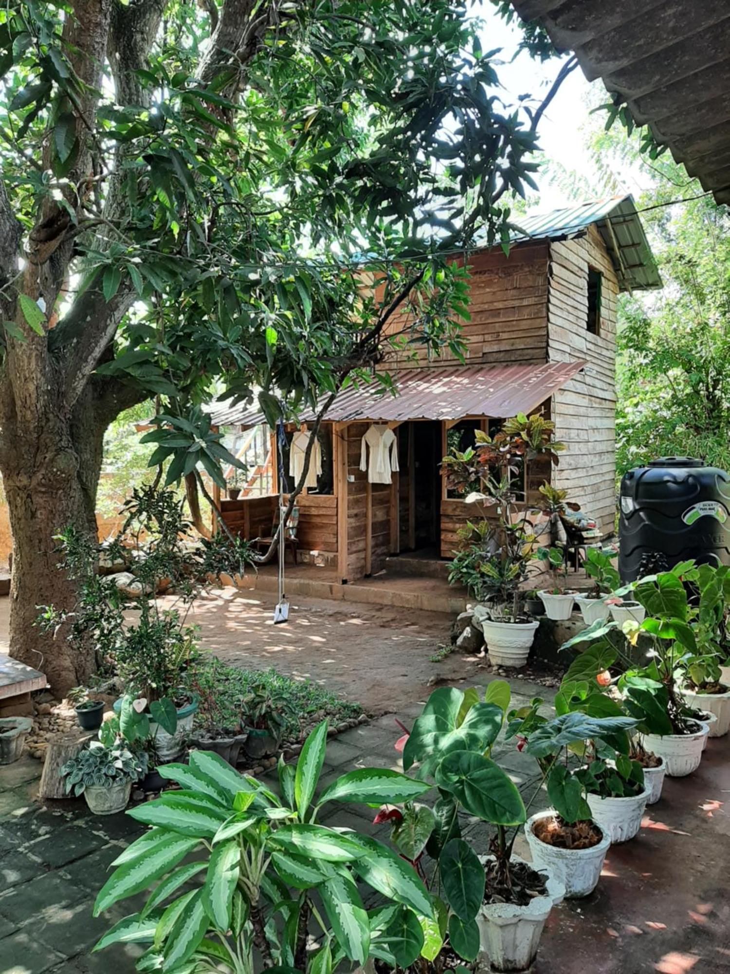 Serenity House In Dambulla Exterior foto