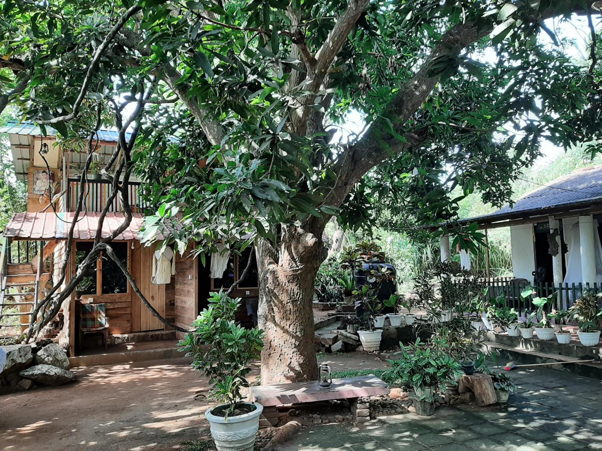Serenity House In Dambulla Exterior foto